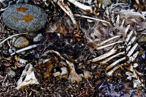 Doubt-remains-600x400