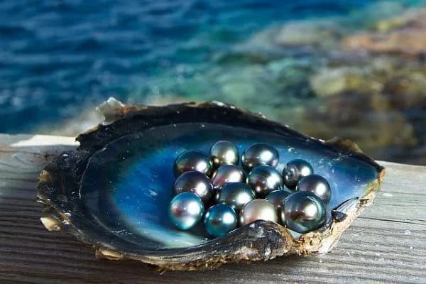 expensive pearls