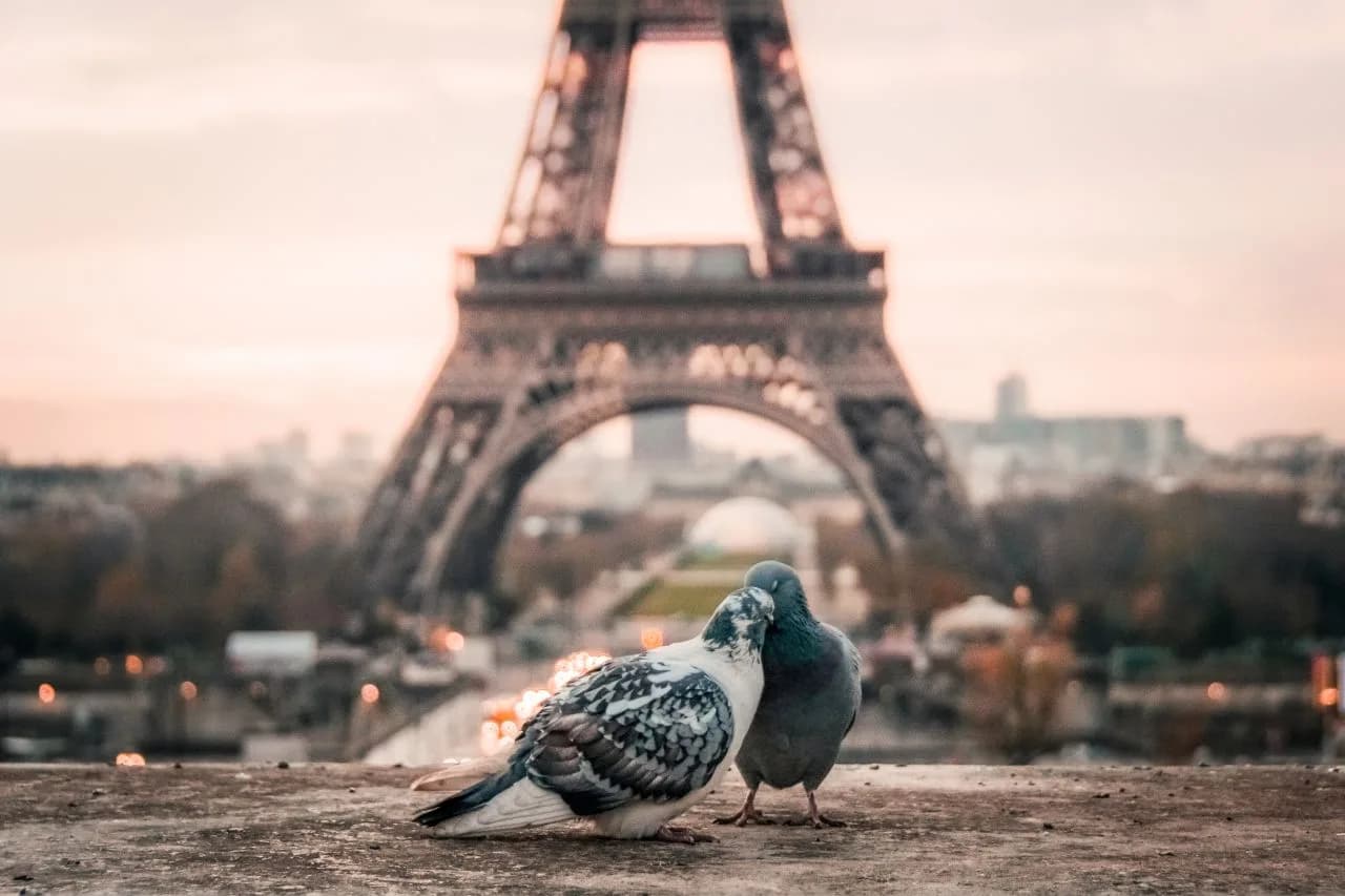 Feeling-Loved-Blog