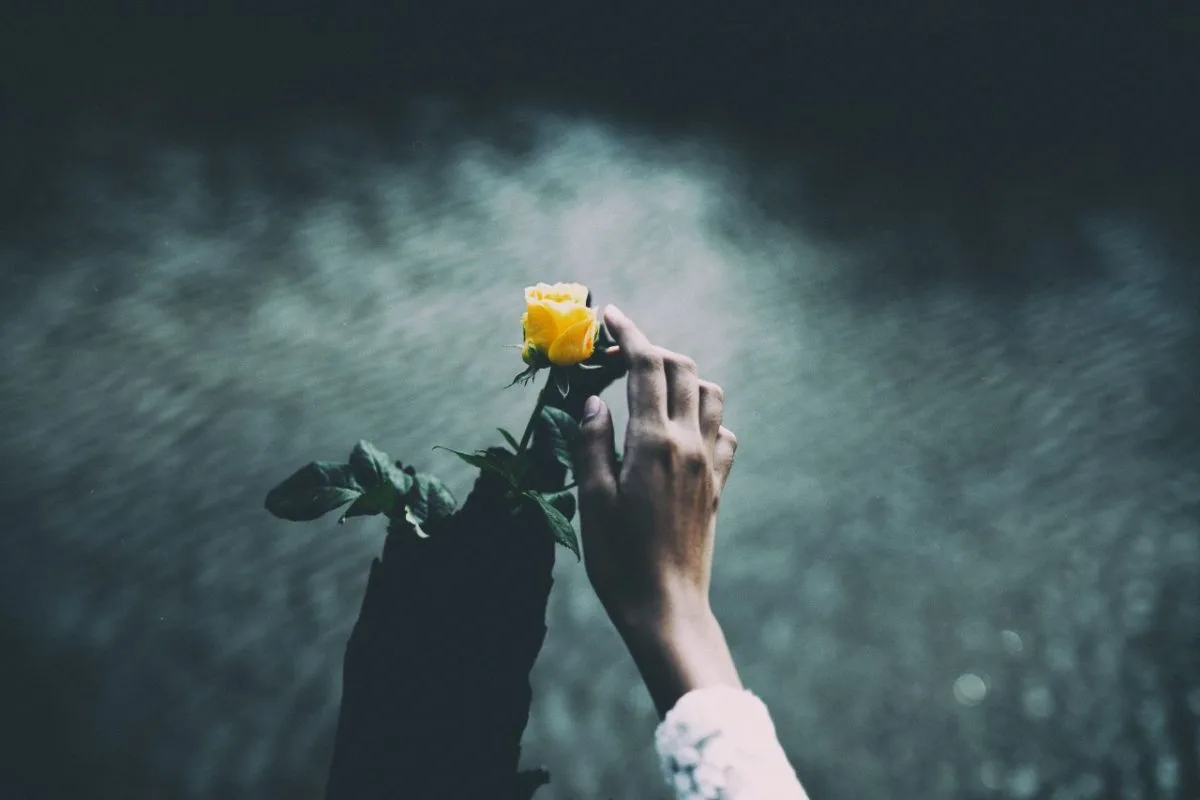 Gentle-Rebuke-Blog-1200x800
