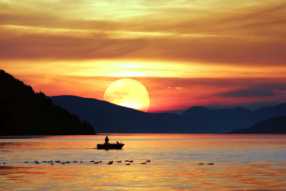 Go-Fish-Blog-1200x800 (1)