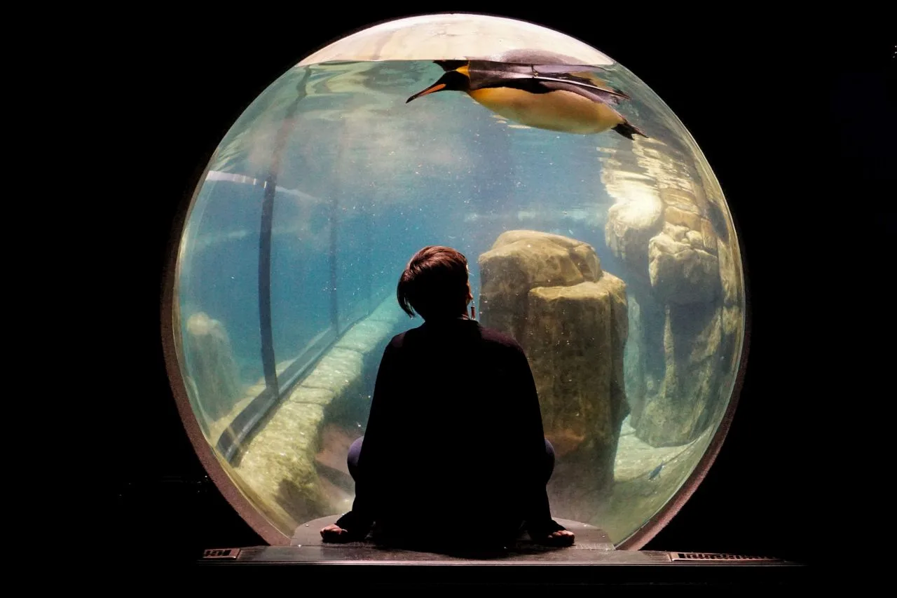 Living-in-a-Bubble-Blog