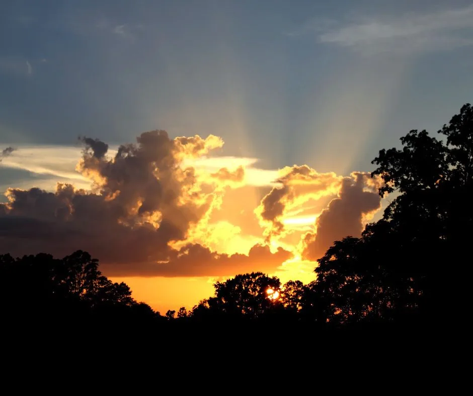 Sunset rays breaking through clouds above trees representing why we don’t use the life and godliness God has given