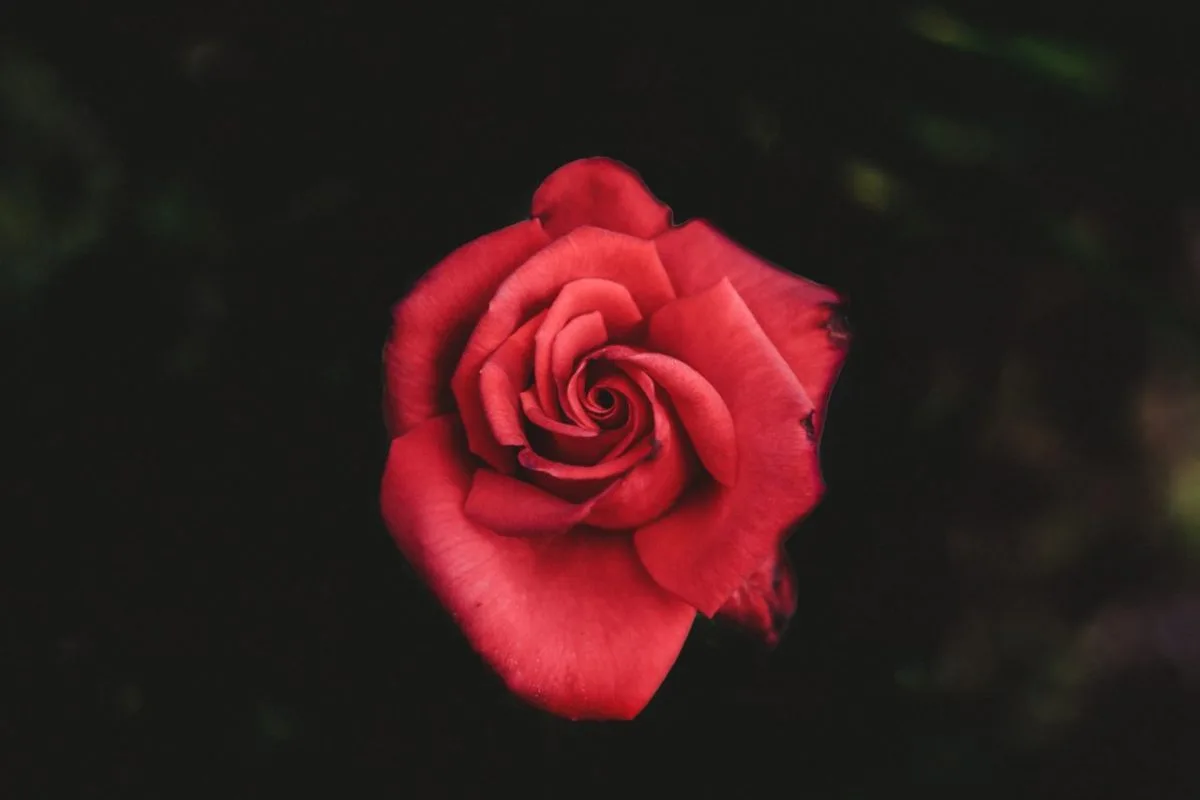 Love-Hurts-Blog-1200x800