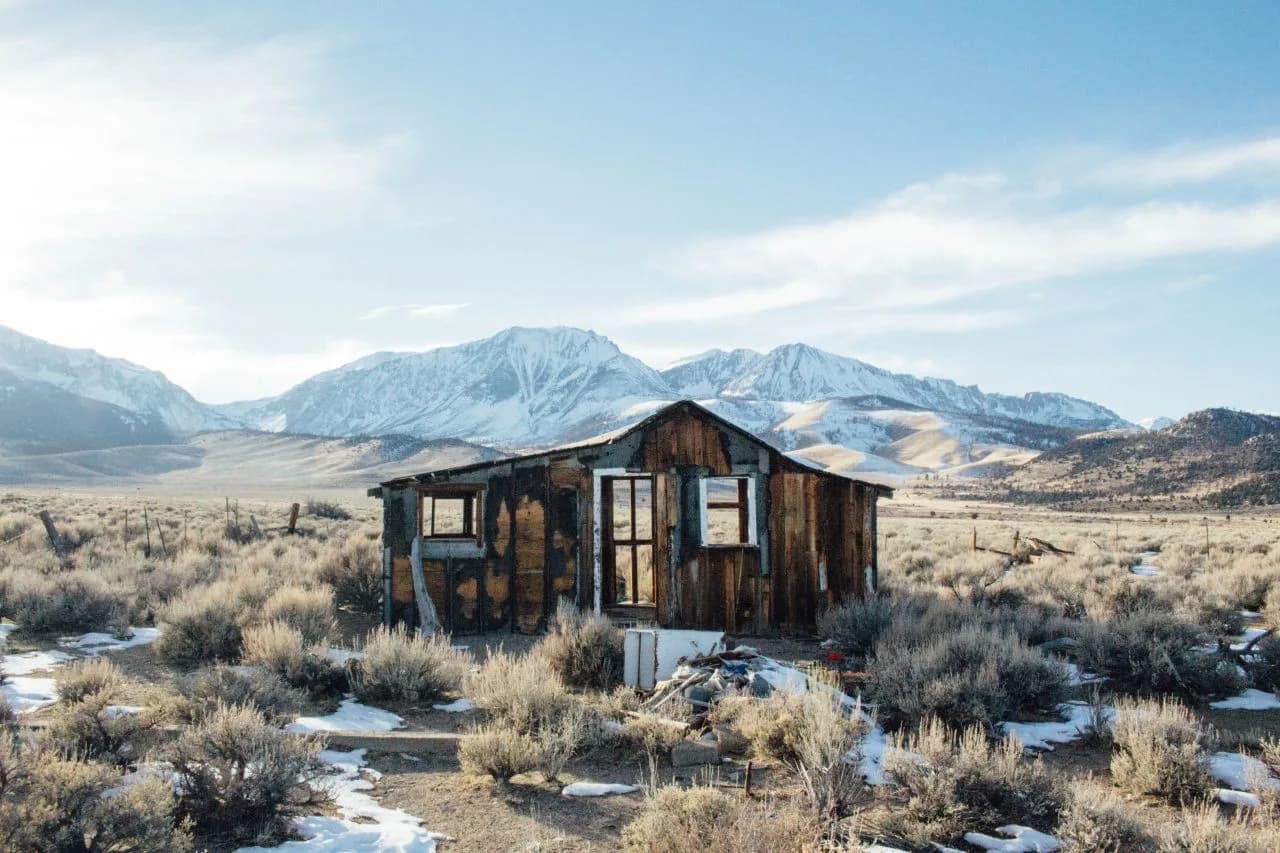 The-Blue-Shack