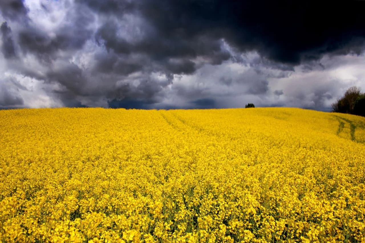Storms-of-life