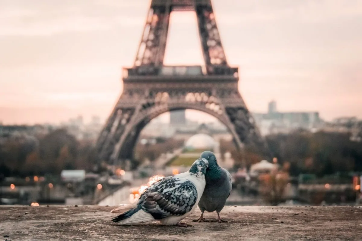 Feeling-Loved-Blog-1200x800