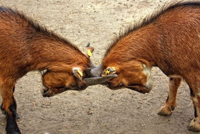 Whispering enemies