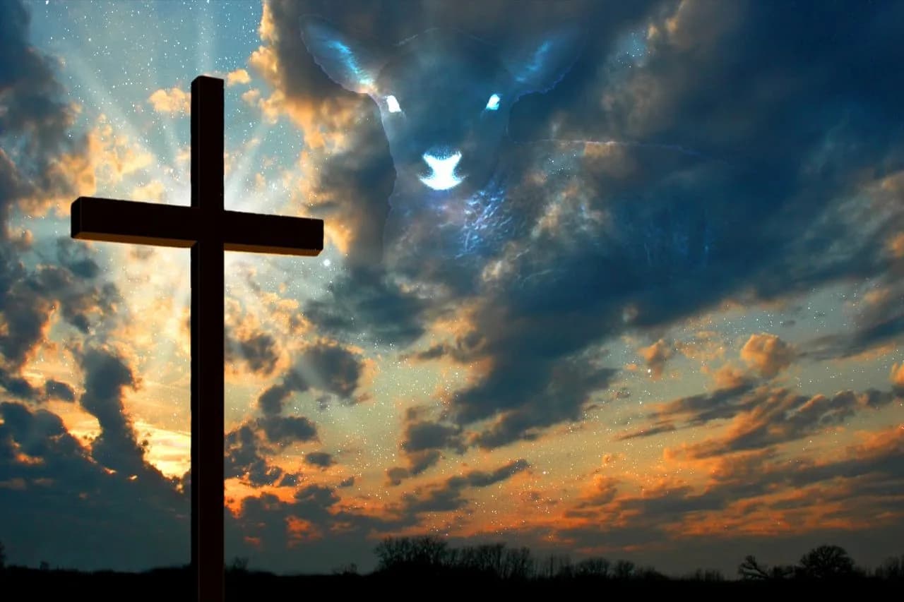 wonderful saviour